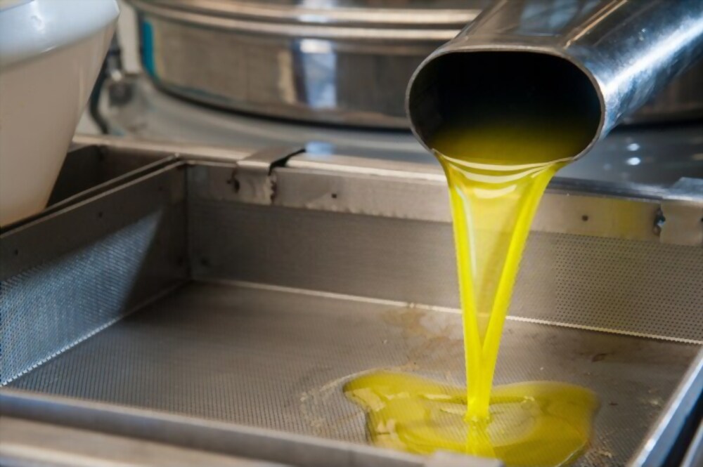 FSSAI for Olive oil Manufacturers
