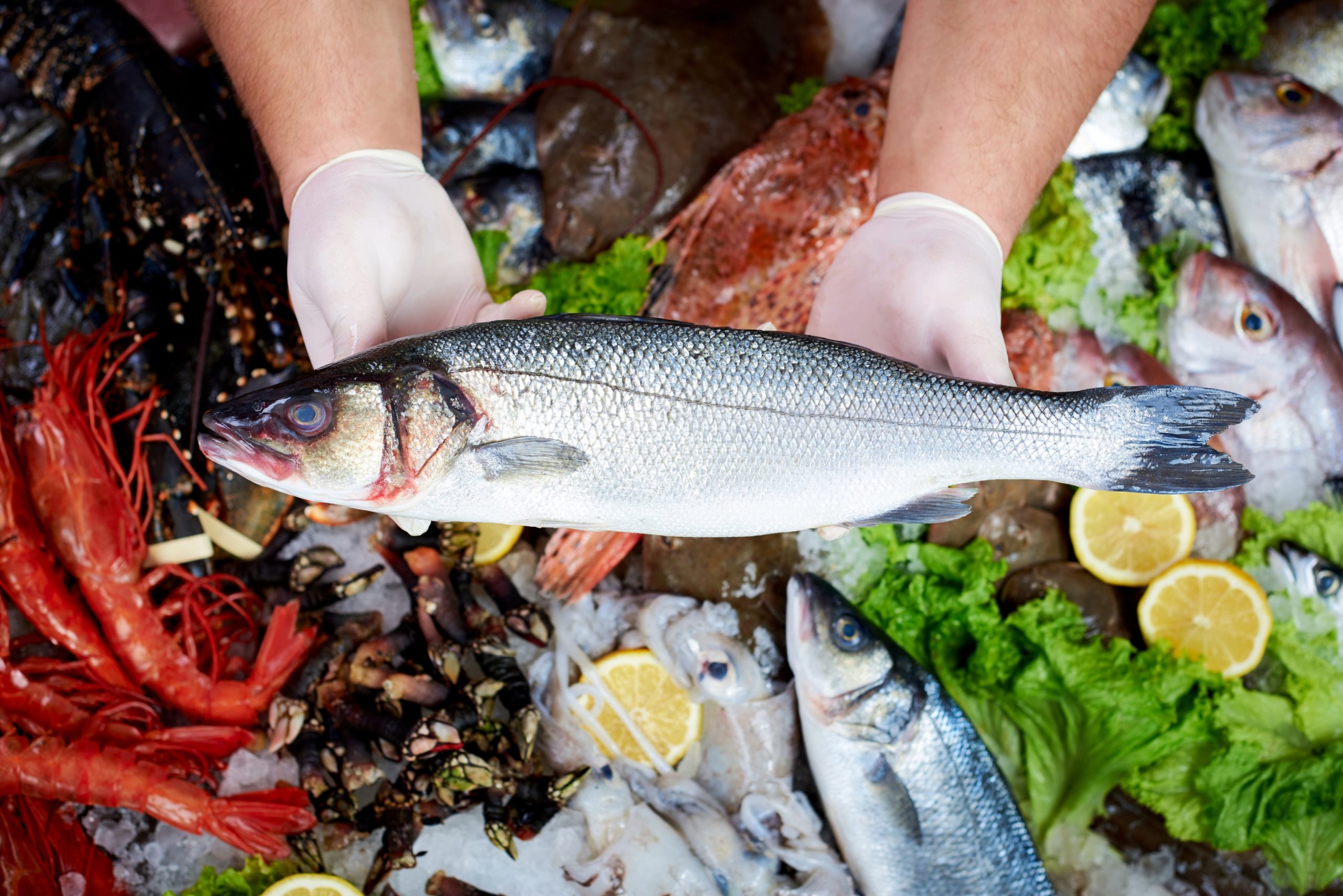 FSSAI for Fish Retailers FSSAI for Fish Retailers
