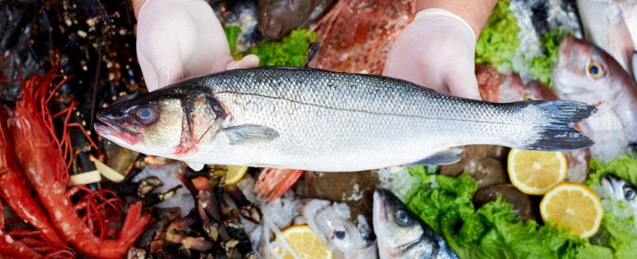 FSSAI for Fish Retailers